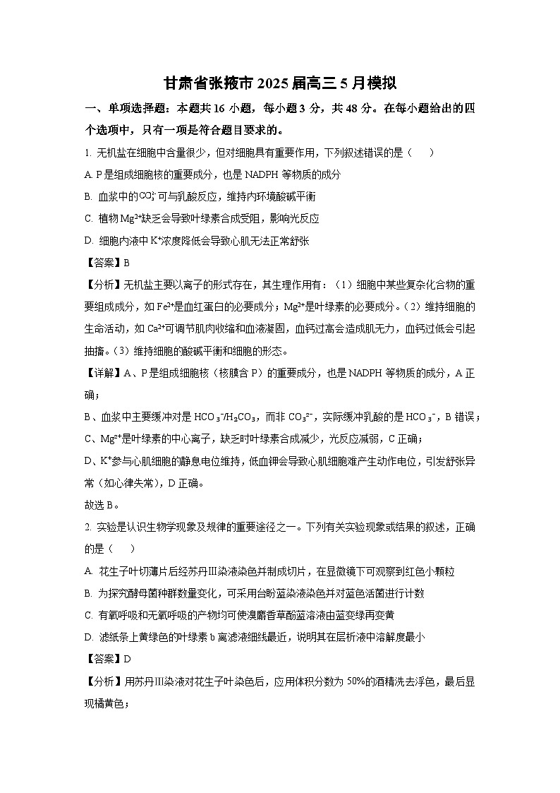甘肃省张掖市2025届高三5月模拟 生物试卷（解析版）第1页