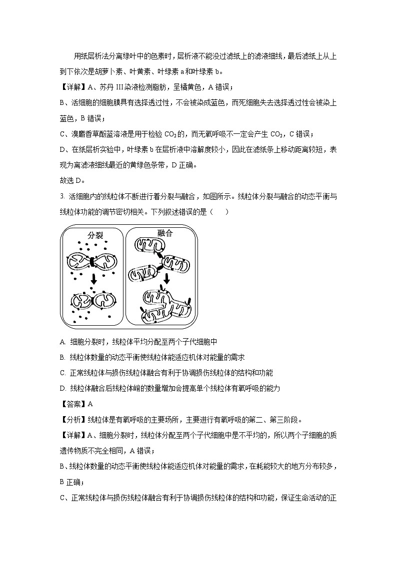甘肃省张掖市2025届高三5月模拟 生物试卷（解析版）第2页