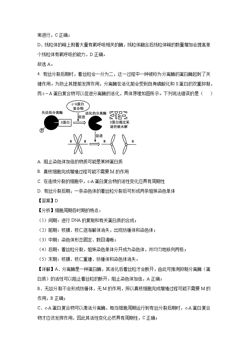 甘肃省张掖市2025届高三5月模拟 生物试卷（解析版）第3页