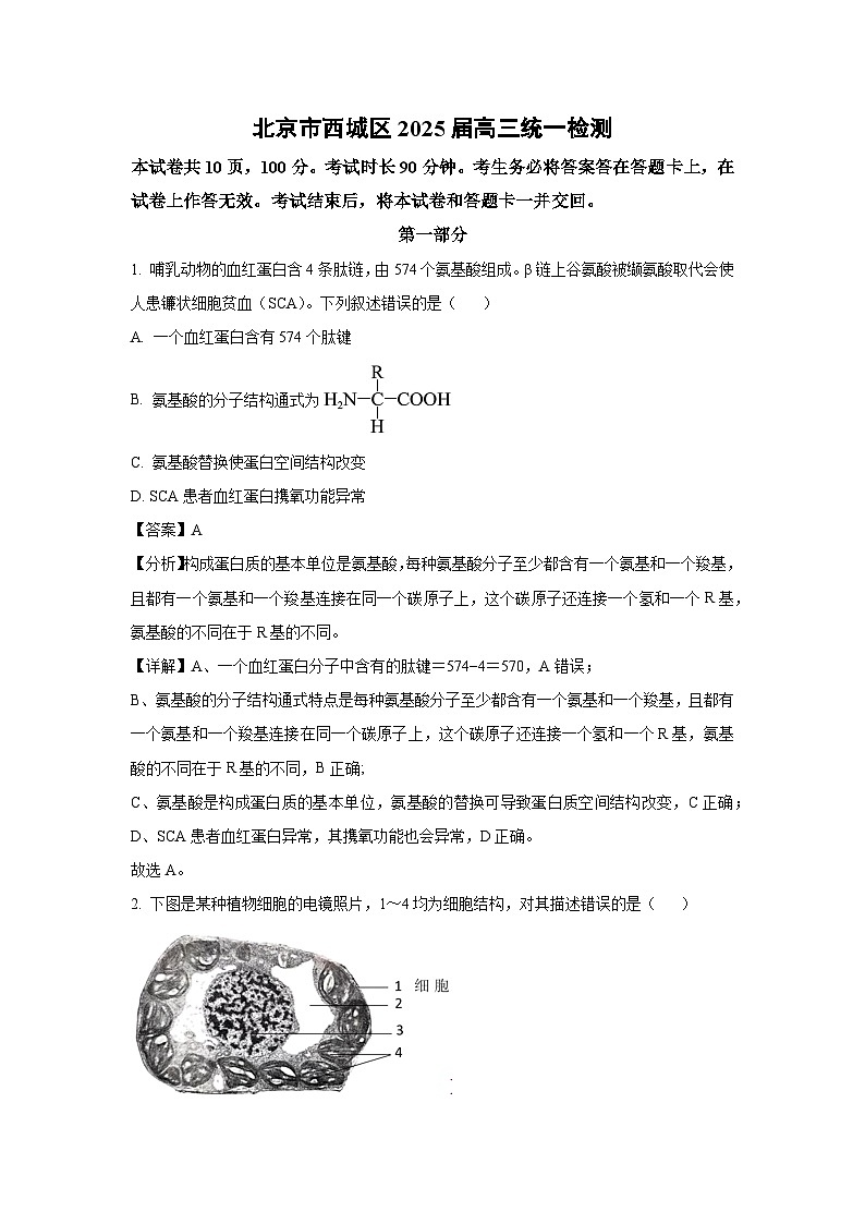 北京市西城区2025届高三统一检测生物试卷（解析版）第1页