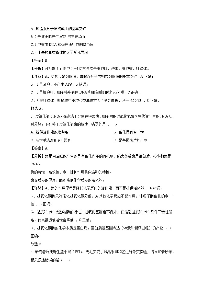 北京市西城区2025届高三统一检测生物试卷（解析版）第2页