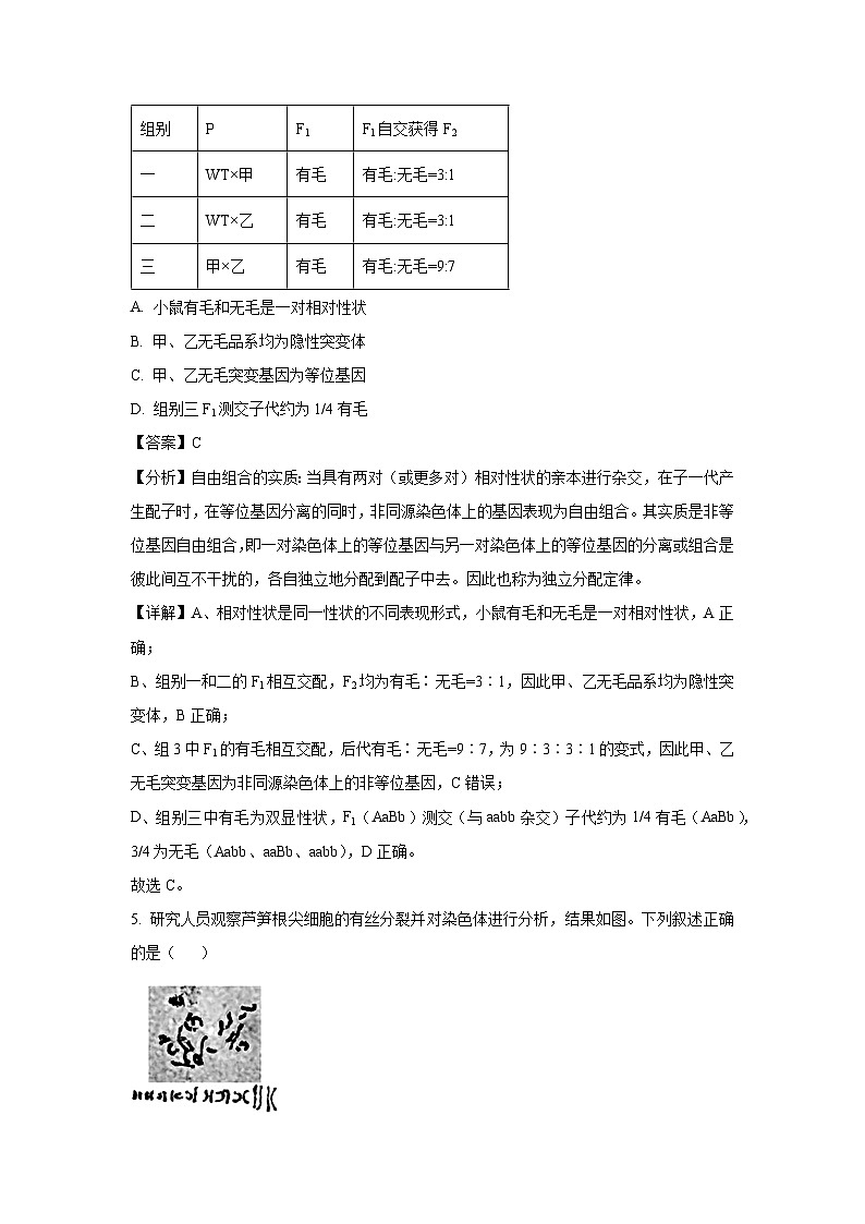 北京市西城区2025届高三统一检测生物试卷（解析版）第3页