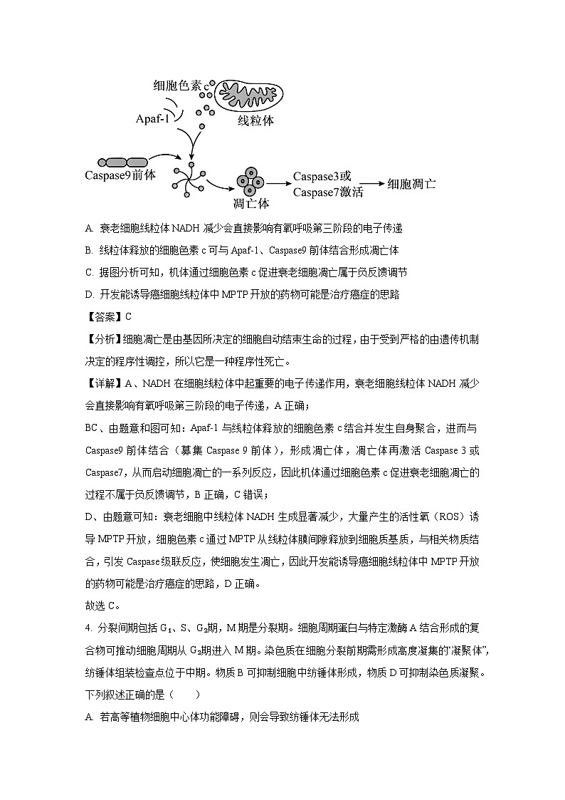 山东省大联考齐鲁名校教研共同体2025届高三下学期第六次联考生物试卷（解析版）第3页