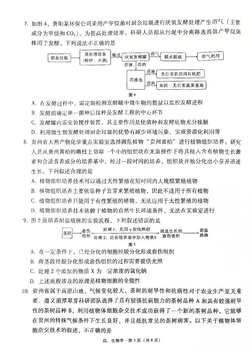 贵州省贵阳市六中联盟校2024-2025学年高二下学期4月联考生物试卷（扫描版含解析）含答案解析第3页