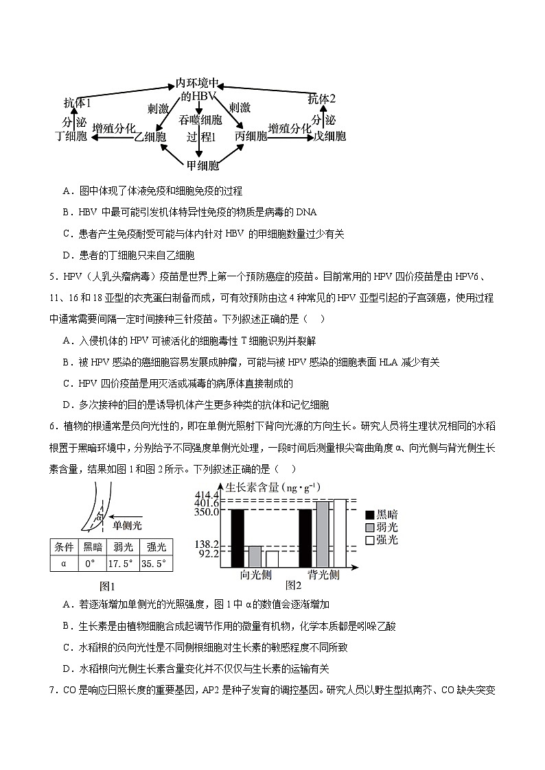 湖北省宜昌市部分省级示范高中2024-2025学高二下学期期中考试生物试卷（有答案）第2页