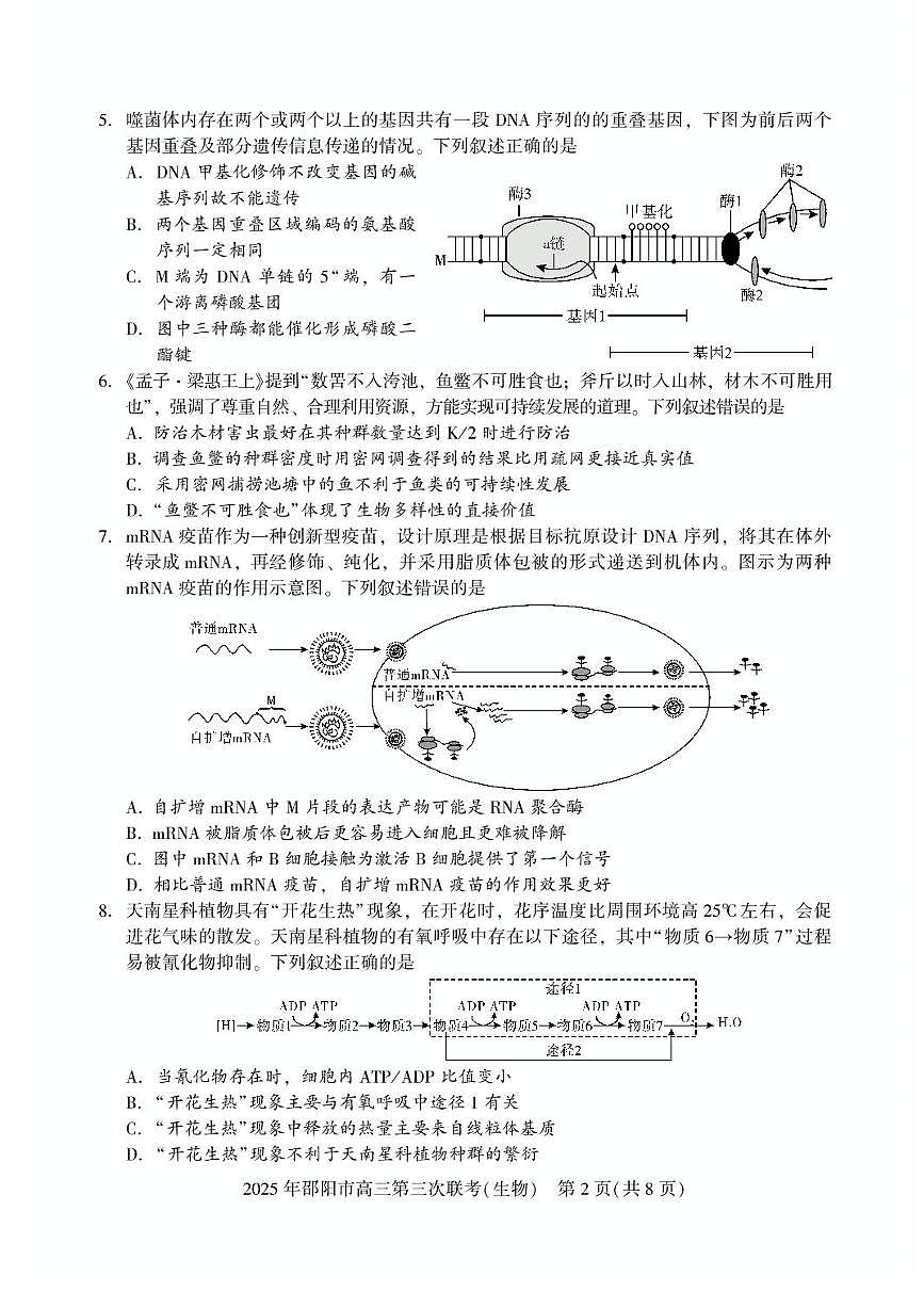 湖南省邵阳市2025届高三下学期第三次联考生物试题（含答案）第2页