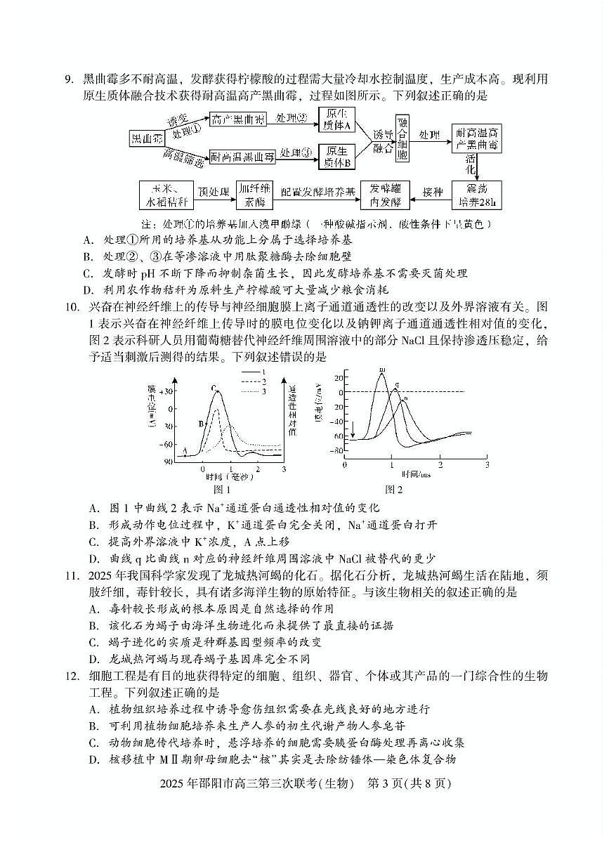 湖南省邵阳市2025届高三下学期第三次联考生物试题（含答案）第3页