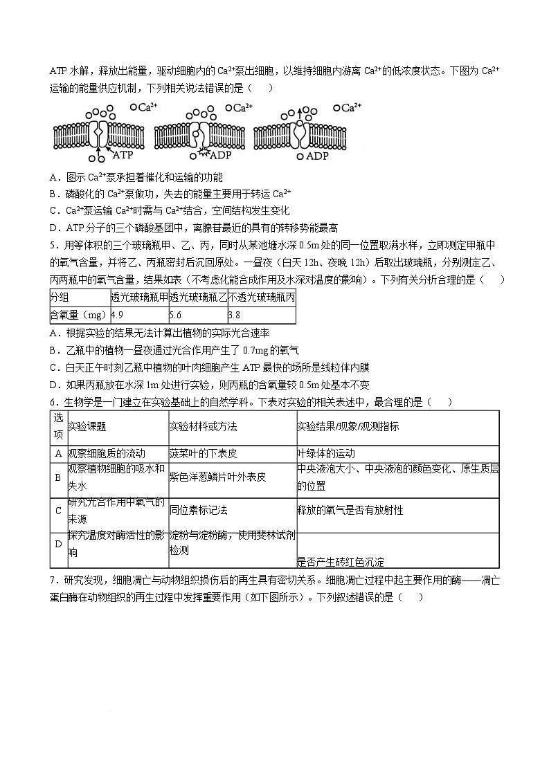 湖北省重点高中智学联盟2024-2025学年高一下学期5月联考生物试卷（Word版附解析）第2页
