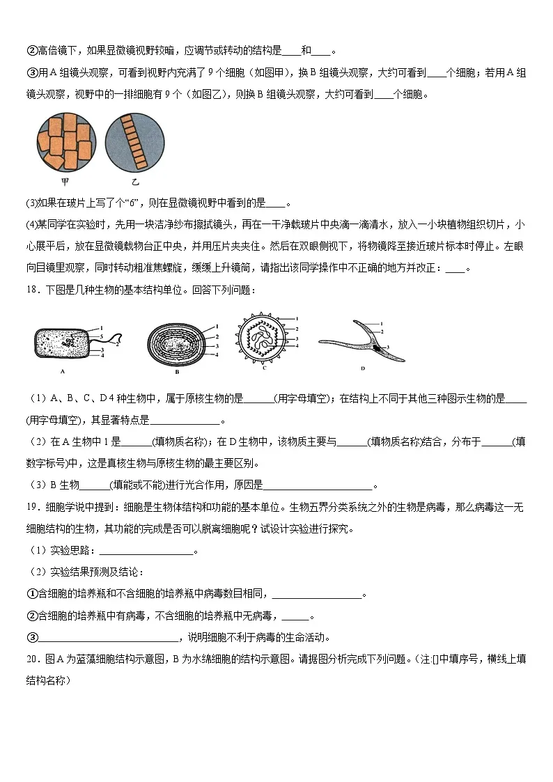 广西钦州市第四中学2024-2025学年高一上学期9月考试生物试题第3页