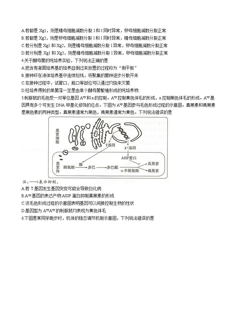 湖南省“一起考”部分学校大联考2025届高三下学期模拟（三）生物试卷（Word版附解析）第2页
