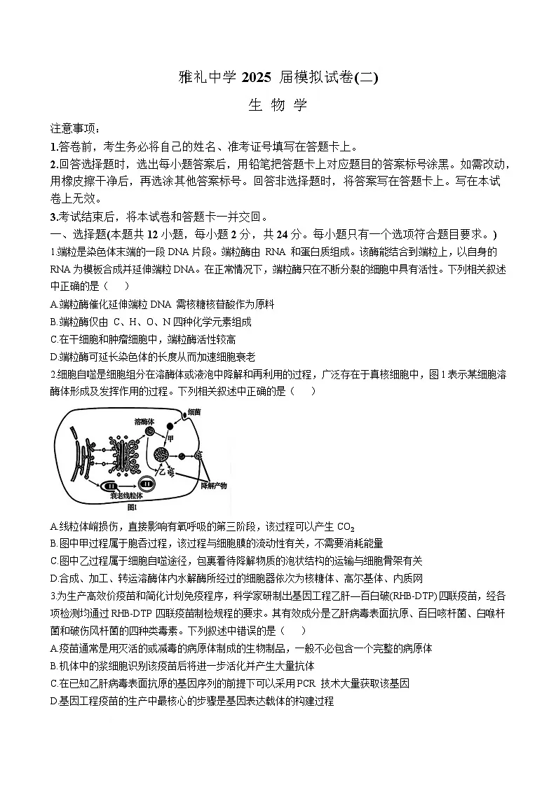 湖南省长沙市雅礼中学2024-2025学年高三下学期5月考试生物试卷（Word版附解析）第1页