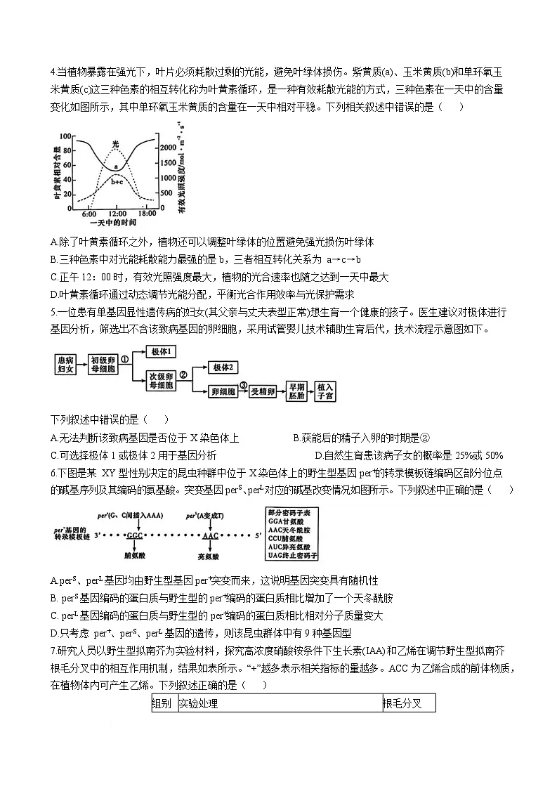 湖南省长沙市雅礼中学2024-2025学年高三下学期5月考试生物试卷（Word版附解析）第2页