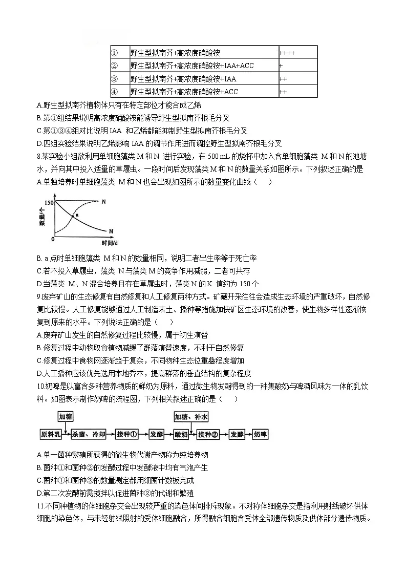 湖南省长沙市雅礼中学2024-2025学年高三下学期5月考试生物试卷（Word版附解析）第3页