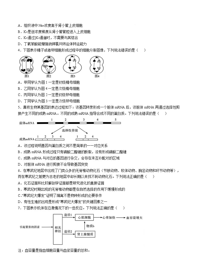 湖南省四大名校名师团队2025届高三下学期猜题卷生物科目（B）试题（Word版附解析）第2页