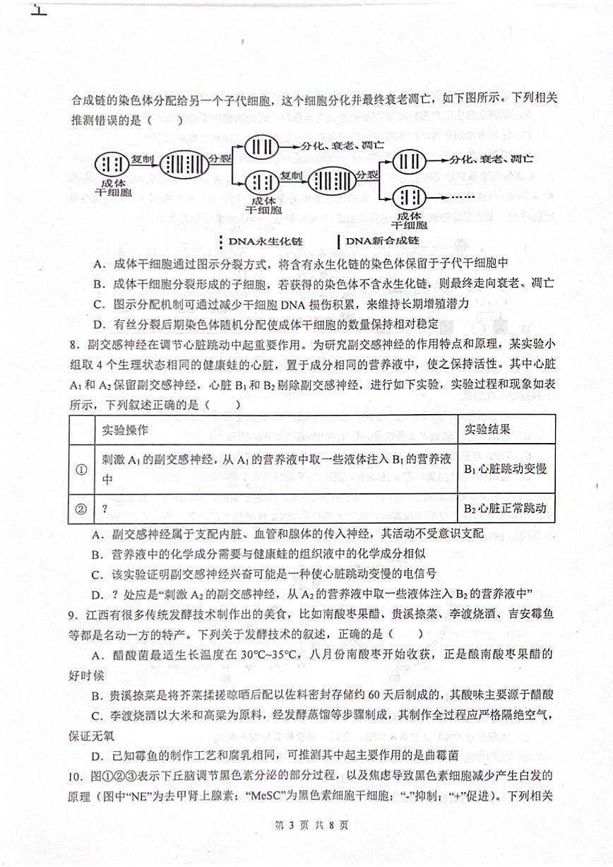 四川省绵阳中学2025届高考适应性模拟考试（一）-生物试卷+答案第3页