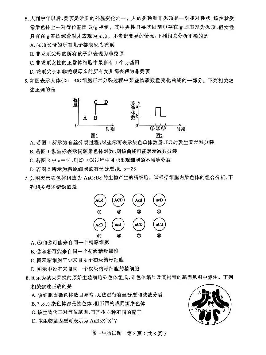山东省聊城市2024—2025年第二学期高一期中试题高一生物期中第2页