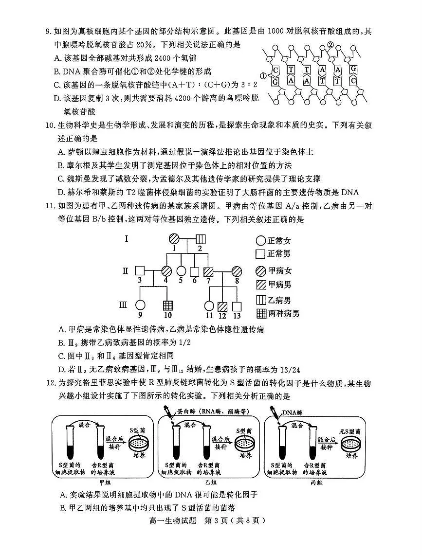 山东省聊城市2024—2025年第二学期高一期中试题高一生物期中第3页