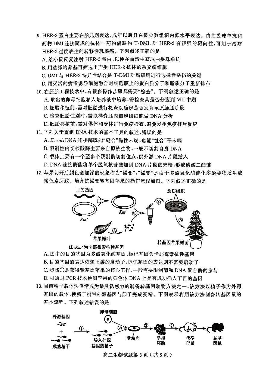 山东省聊城市2024—2025年第二学期高二期中试题高二生物期中第3页