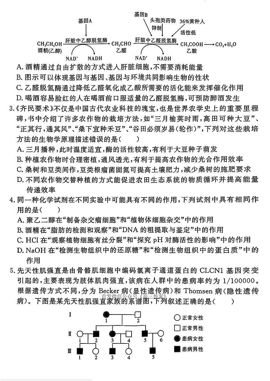 2025年合肥168中学高考模拟最后一卷生物试题及答案第2页