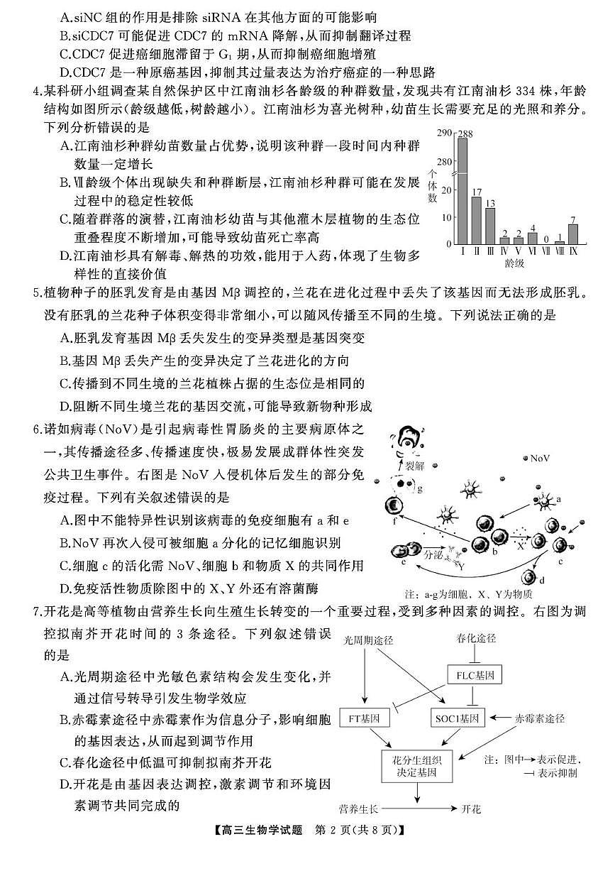 生物-湖南天壹2025届高考模拟冲刺压轴大联考试题及答案第2页