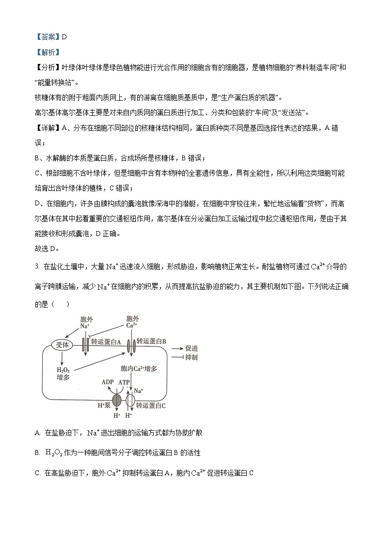 四川师范大学附属中学2025届高三下学期三诊模拟（二）生物答案第2页