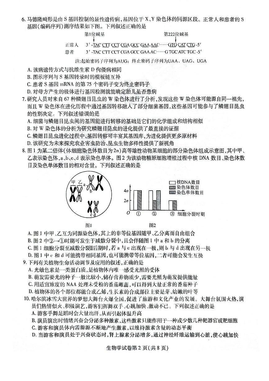 黑龙江省哈尔滨师范大学附属中学2024-2025学年高三下学期5月第四次模拟考试生物试题（含答案）第2页