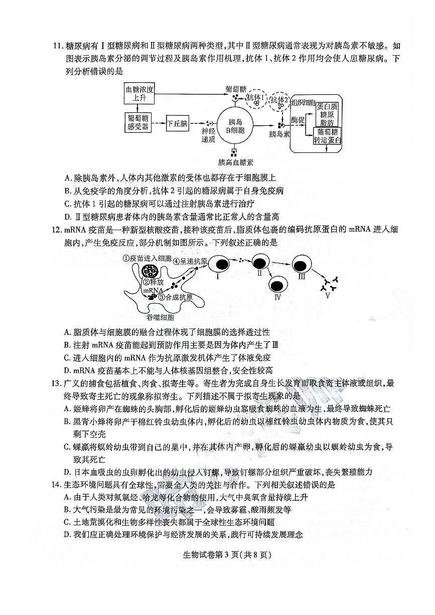 黑龙江省哈尔滨师范大学附属中学2024-2025学年高三下学期5月第四次模拟考试生物试题（含答案）第3页
