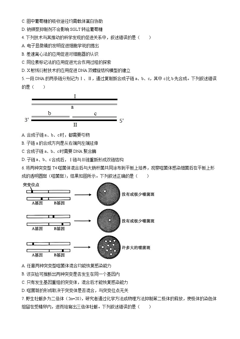 北京市昌平区2025年高考二模生物试卷（含答案）第2页