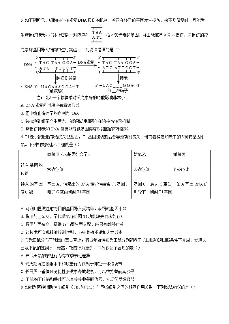 北京市东城区2025年高考二模生物试卷（含答案）第2页