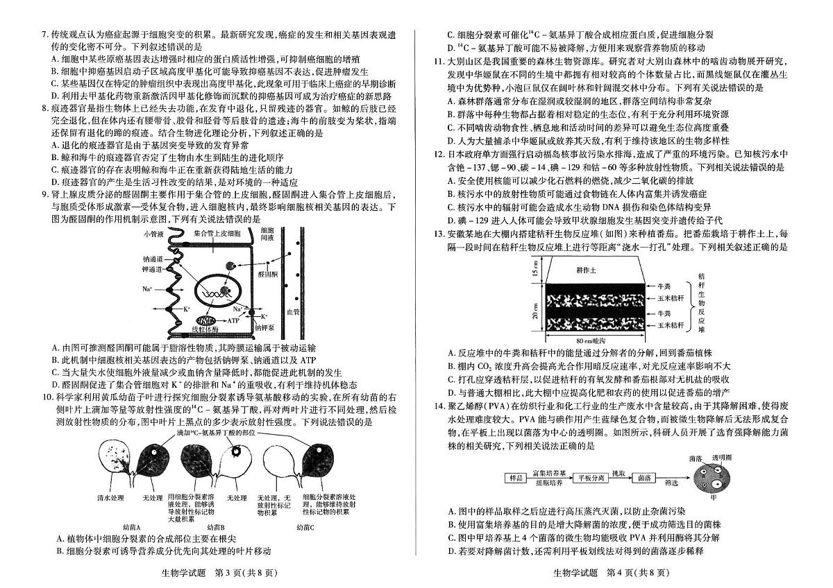 2025届安徽省合肥六中高三最后一卷生物试卷（高考模拟）第2页