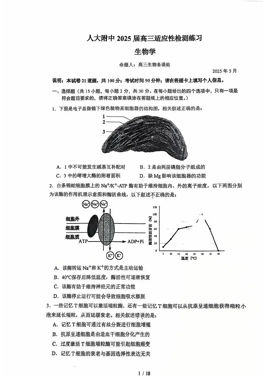 2025届北京市人大附中高三适应性检测练习生物试题（高考模拟）第1页