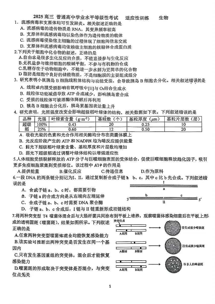 2025届北京市首都师范大学附属中学高三普通高中学业水平等级性考试适应性训练生物试题（高考模拟）第1页