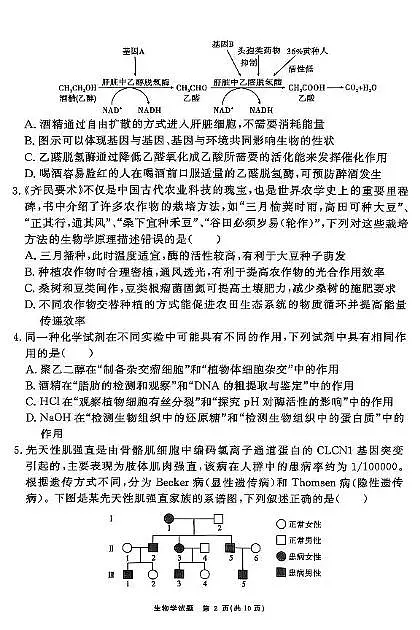 2025届合肥市一六八中学高三最后一卷生物学试题（高考模拟）第2页