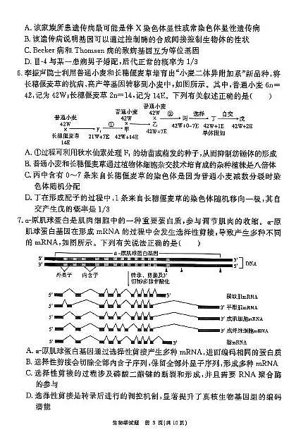 2025届合肥市一六八中学高三最后一卷生物学试题（高考模拟）第3页