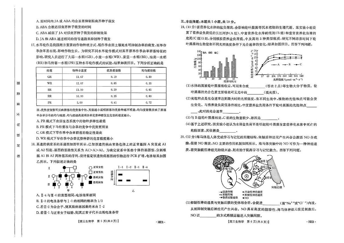 2025届河北省沧州市名校联盟三模生物试题（高考模拟）第3页