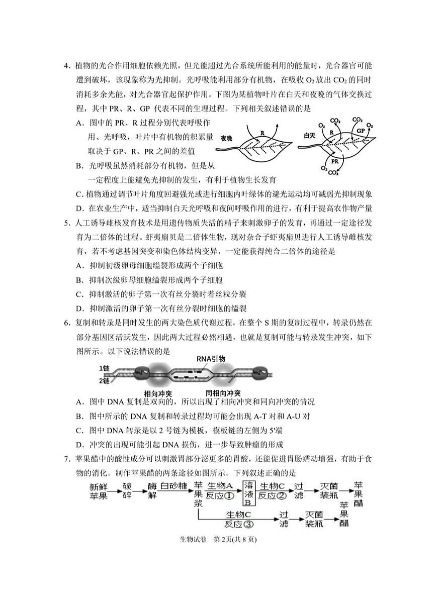 2025届宁夏回族自治区银川一中高三三模生物试题（高考模拟）第2页