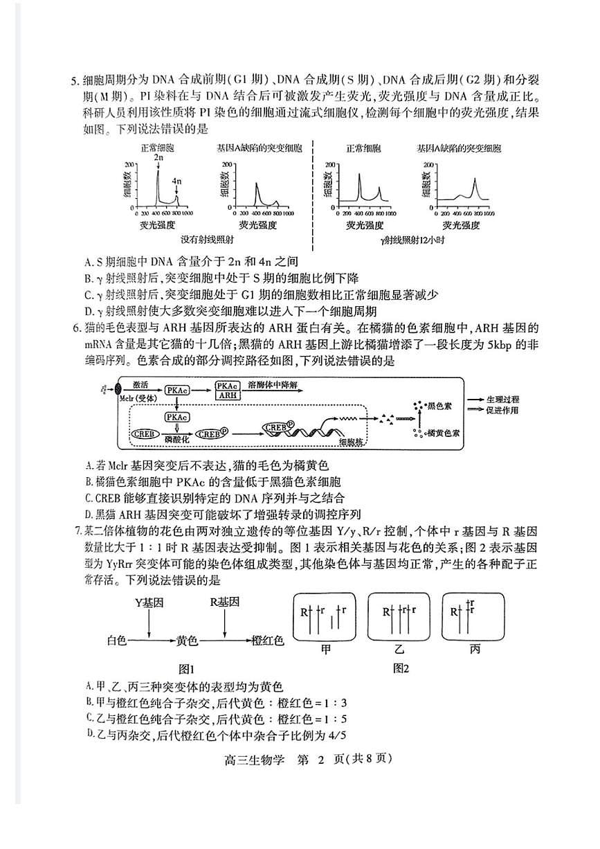 2025届山东省潍坊市高三下学期5月模拟生物试卷（高考模拟）第2页