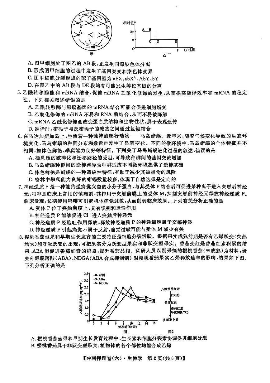 2025届山西省部分学校高三下学期冲刺押题卷（六）生物试题（高考模拟）第2页
