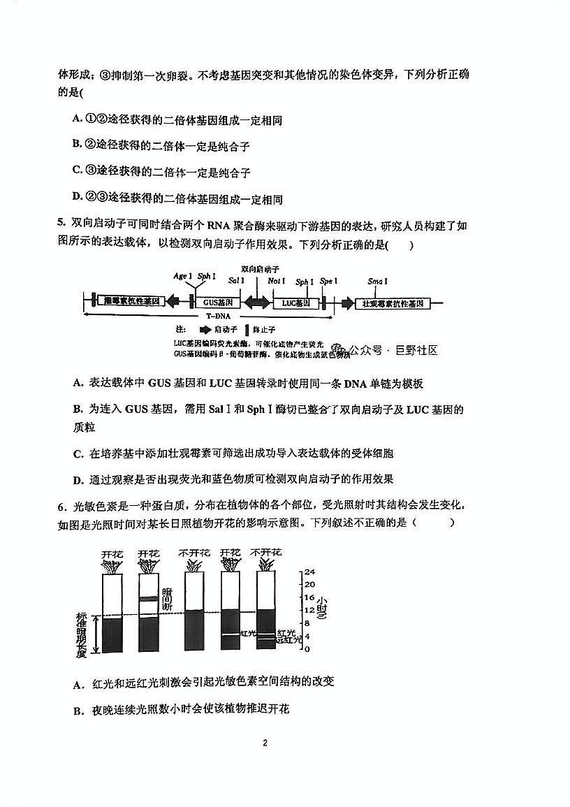 2025届天津市蓟州区上仓中学高三三模生物试卷（高考模拟）第2页