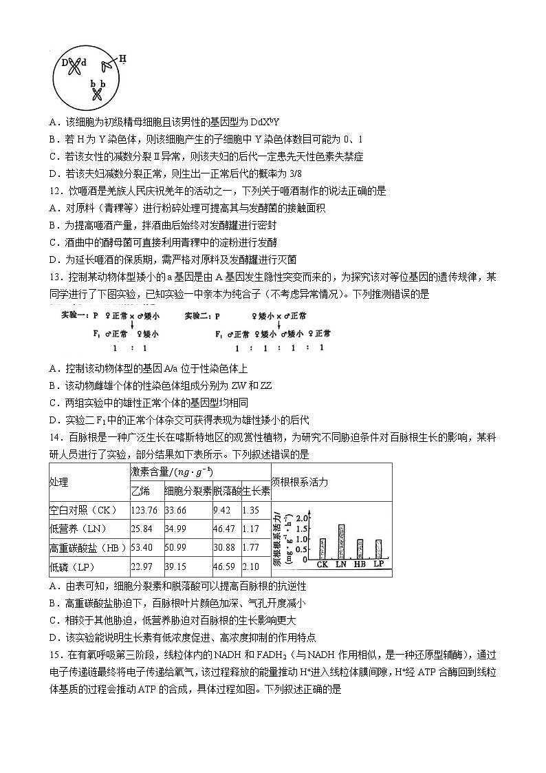 2025届陕西省咸阳市武功县普集高级中学高三模拟预测生物试题（高考模拟）第3页