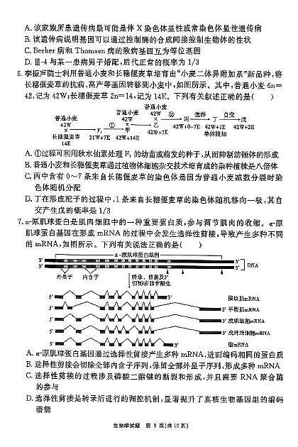 2025届合肥市一六八中学最后一卷生物学试题第3页