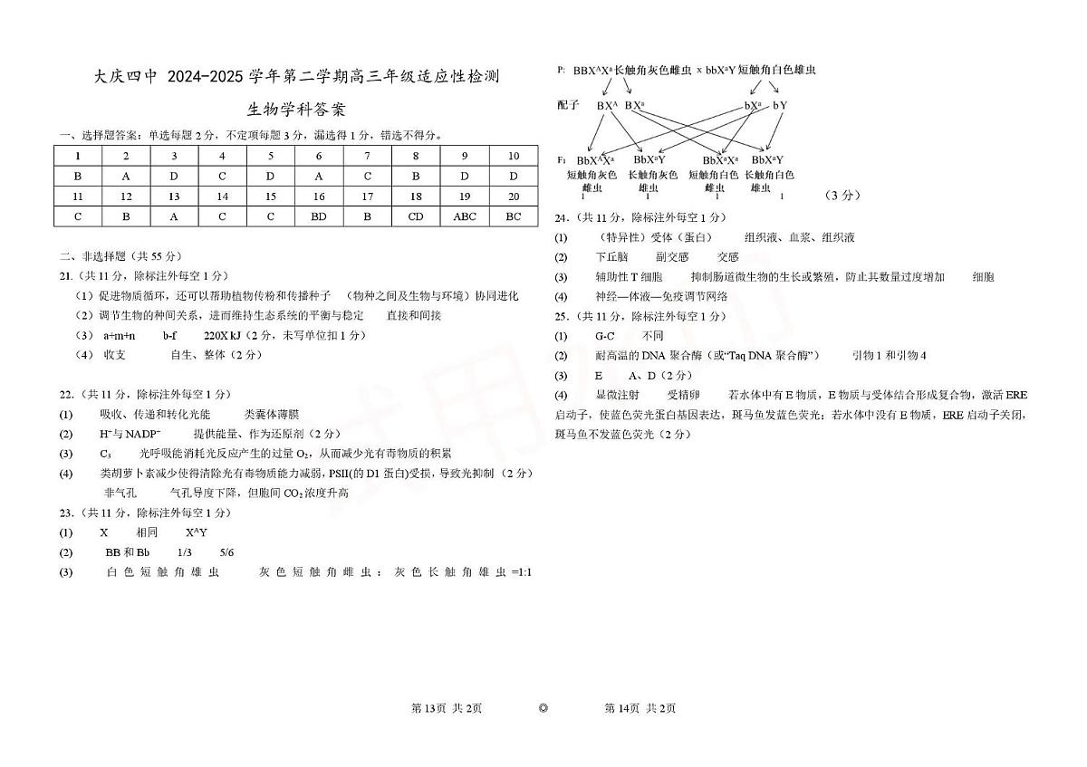 答案第1页
