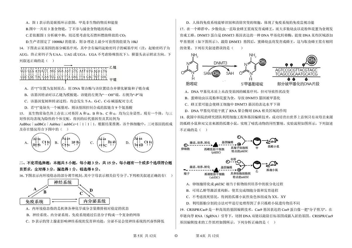 2025届黑龙江省大庆市第四中学高三下学期适应性检测生物试题第3页