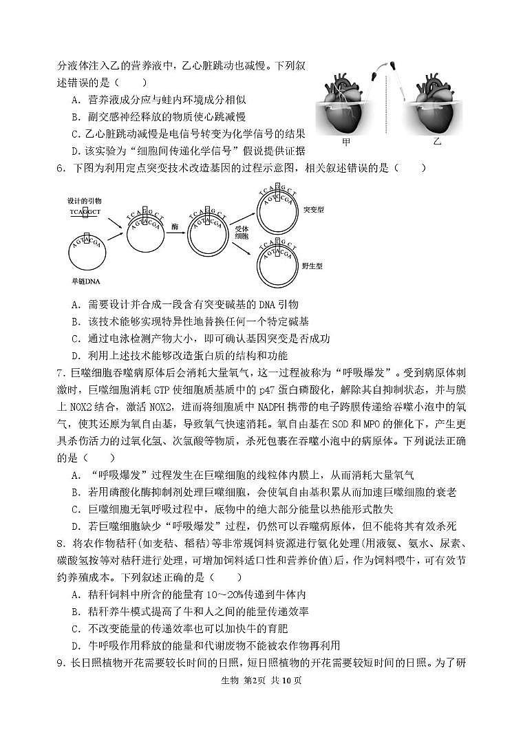 25届麓山国际高三二模生物考试试卷第2页
