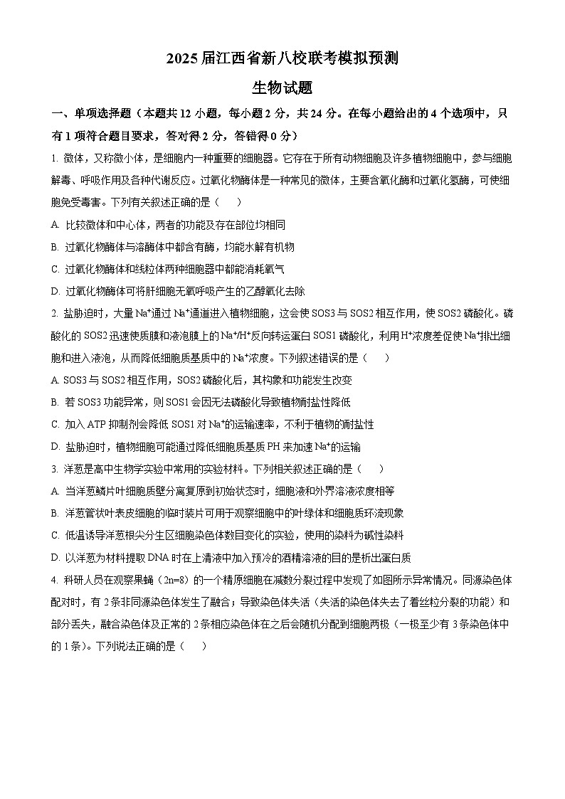 2025届江西省新八校联考模拟预测生物试题（原卷版）第1页