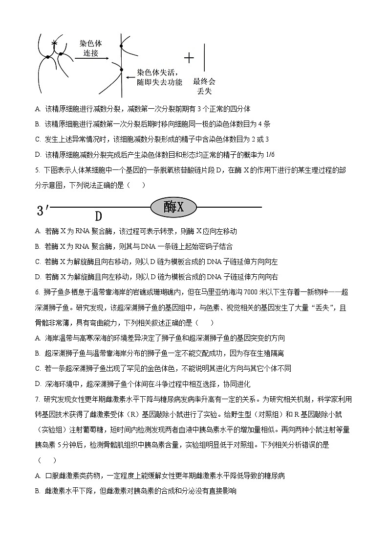 2025届江西省新八校联考模拟预测生物试题（原卷版）第2页