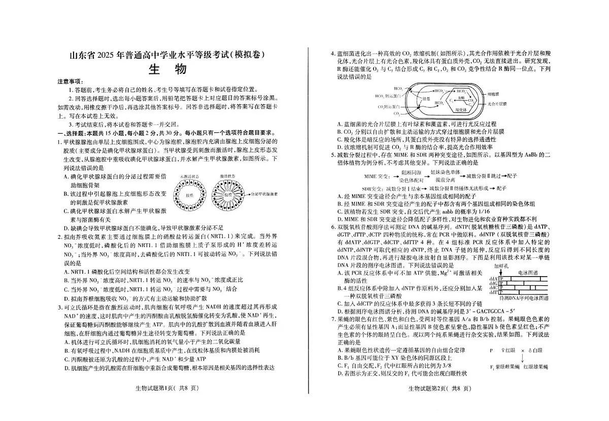 生物试卷第1页