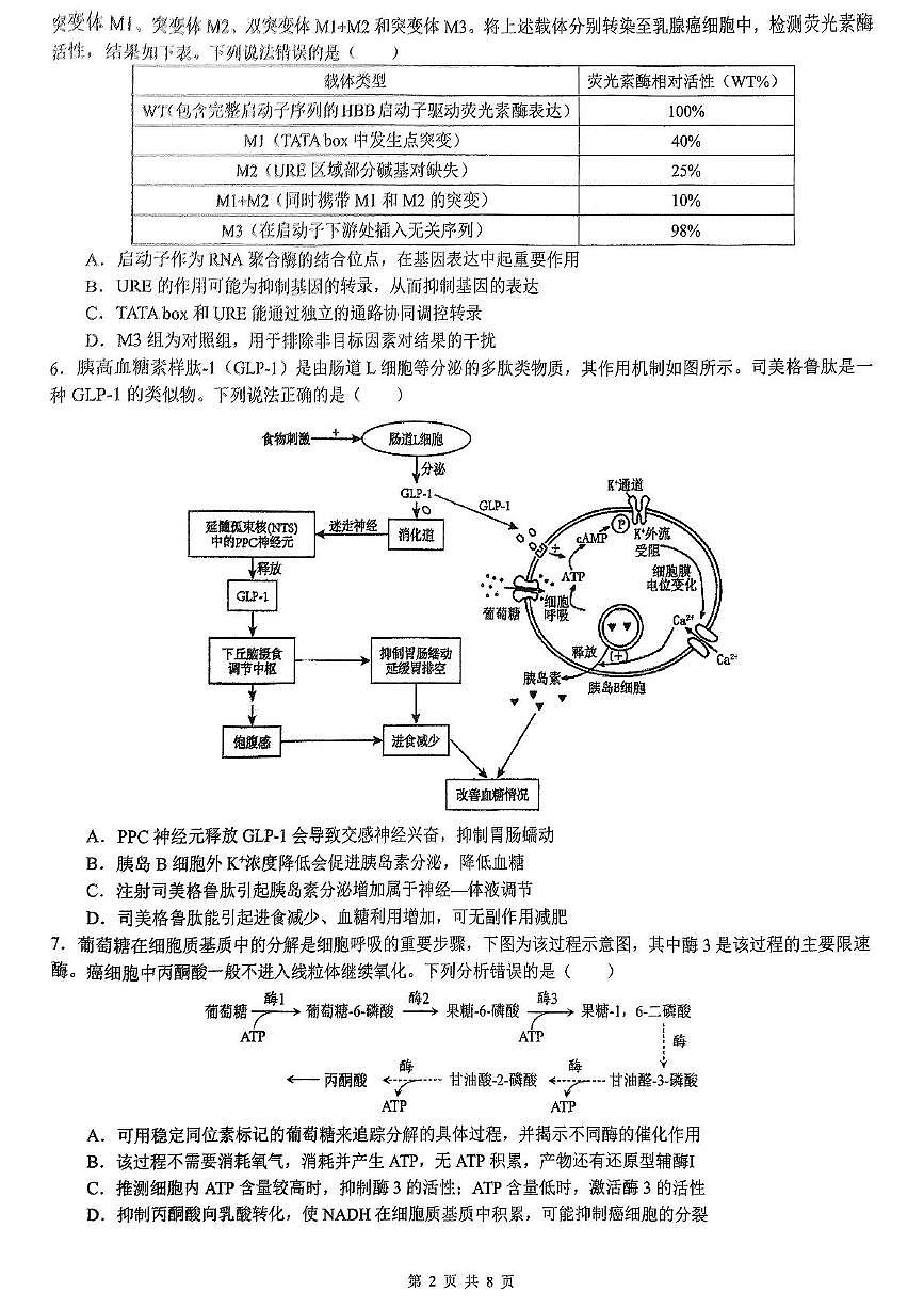 重庆市育才中学2025届高三全真模拟考试 生物试卷第2页