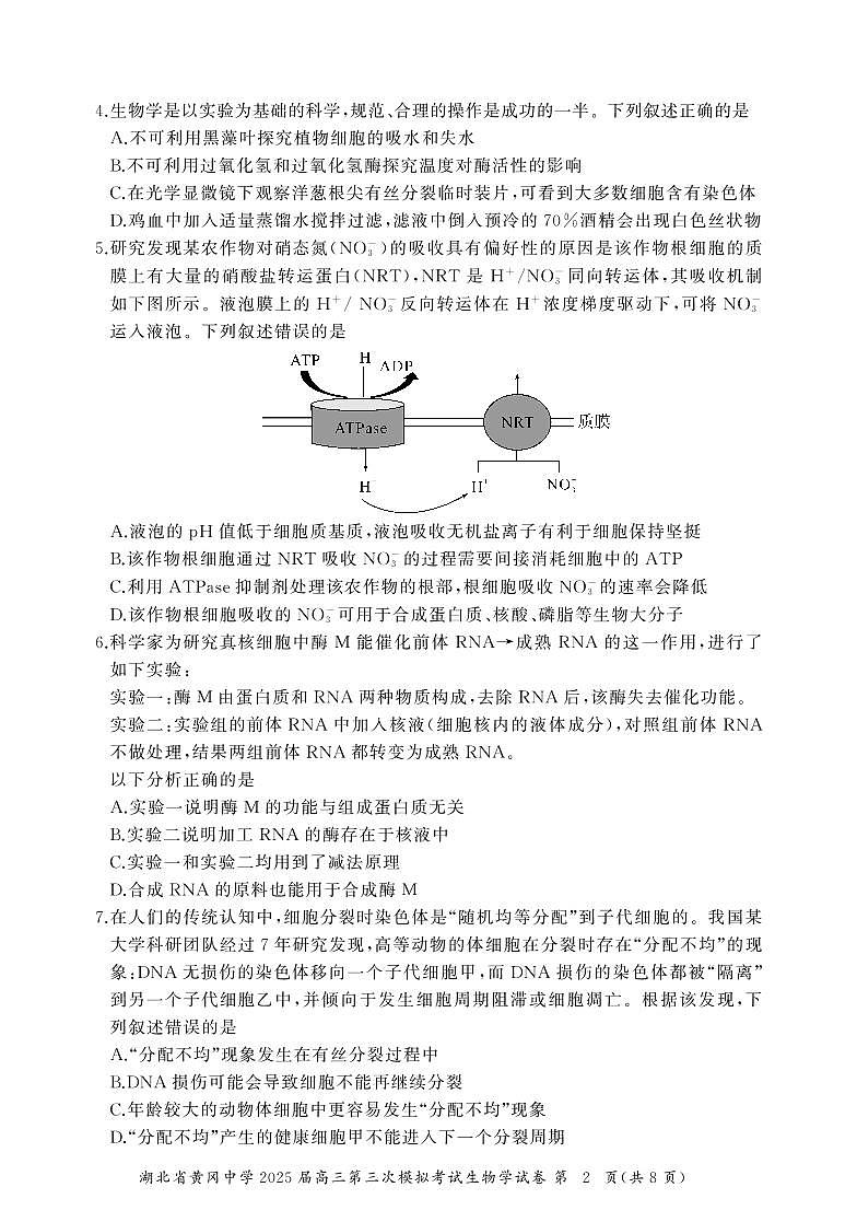 湖北省黄冈中学2025届高三第三次模拟考试生物第2页