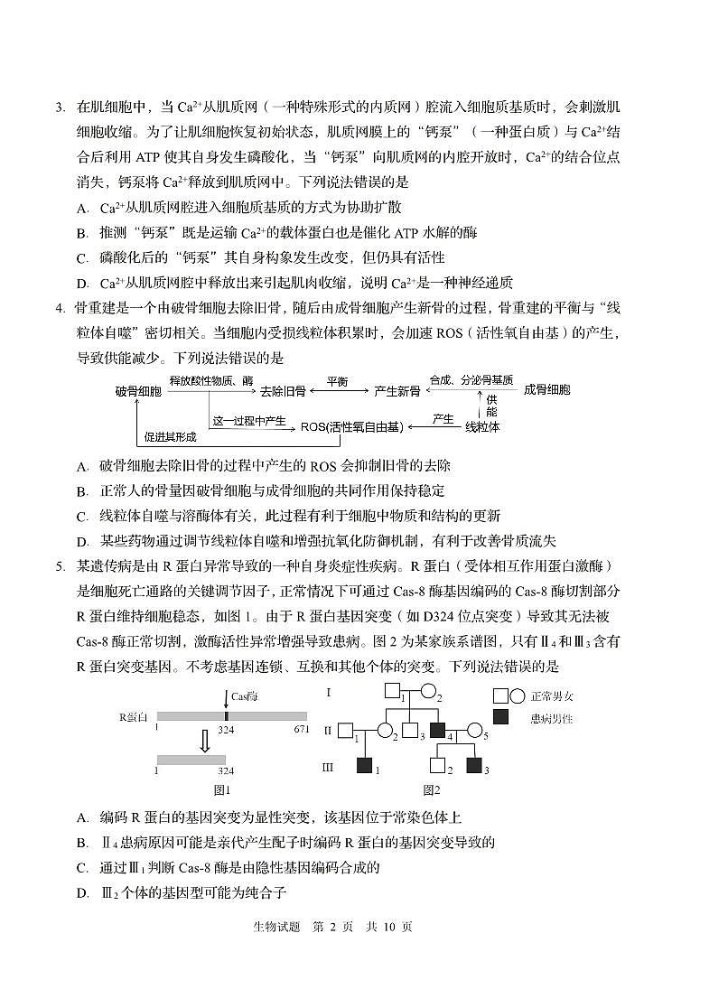 山东省青岛市2025年高三年级第三次适应性检测生物第2页